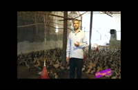 فوت کوزه گری 10 - بسیج سازندگی - پرورش اردک گوشتی