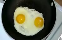 تخم مرغ سخنگو