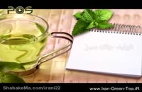اشنایی با فواید چای سبز برای بدن