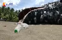 ساخت مجسمه نهنگ مرده با استفاده از زباله های پلاستیکی