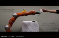 رباتی که قادر به درک درد است